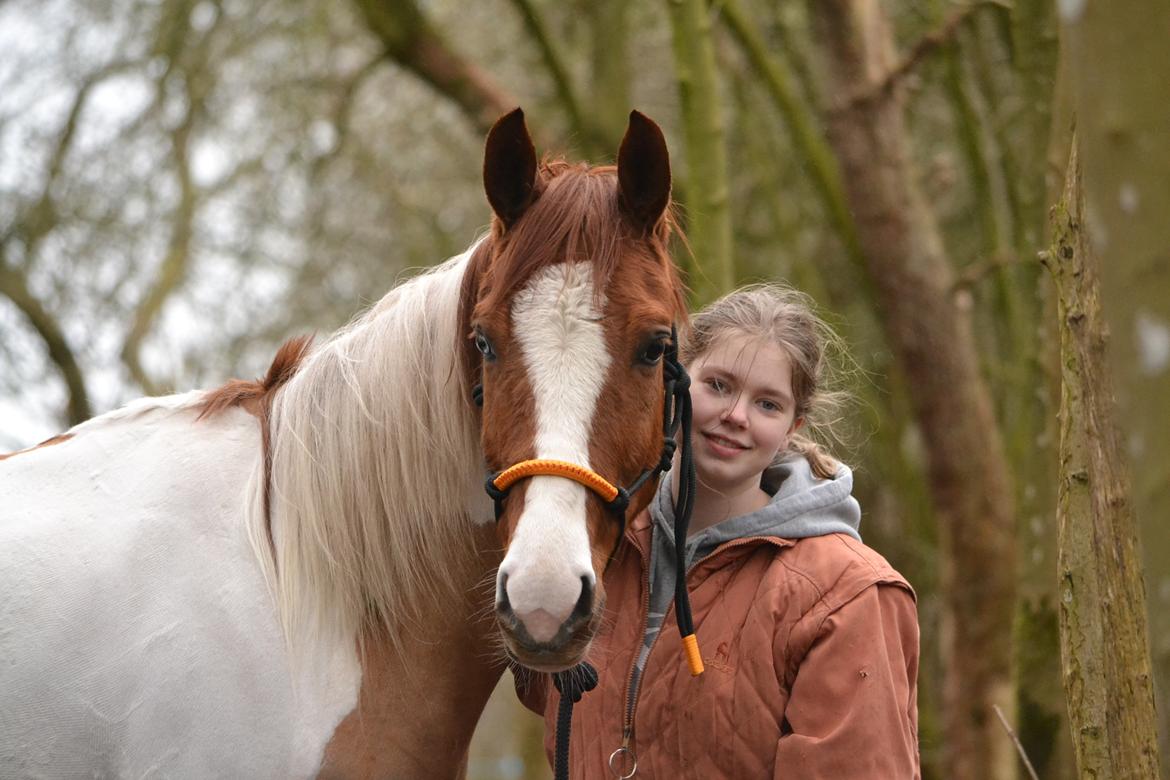 Anden særlig race Hope Silverstar - Marts 2016 billede 20