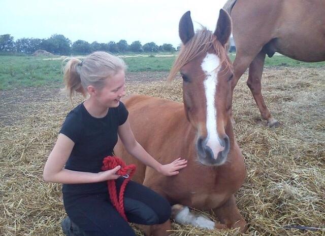 DSP Snorgaardens Mango billede 4