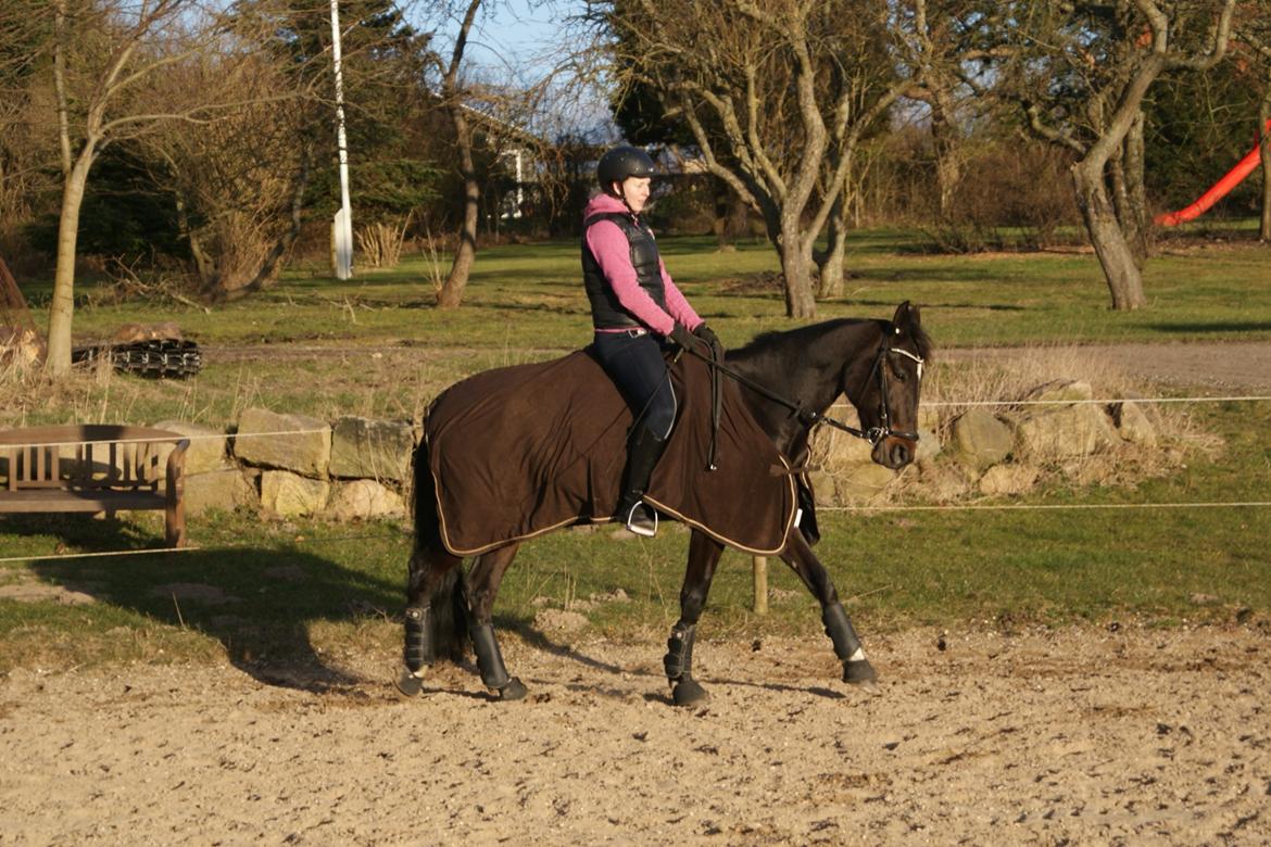 Traver Alica Gold  billede 7