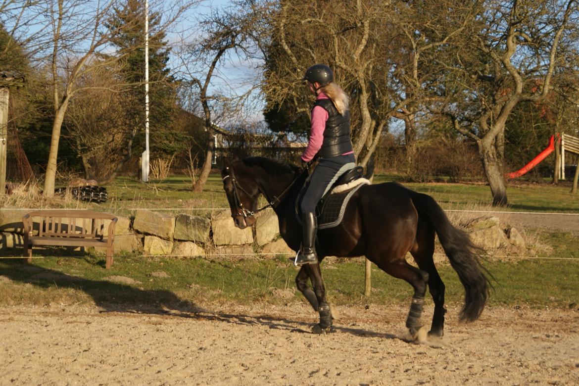 Traver Alica Gold  billede 9