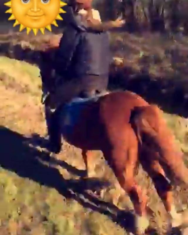 Islænder Heimay - Fræser! <3 billede 3