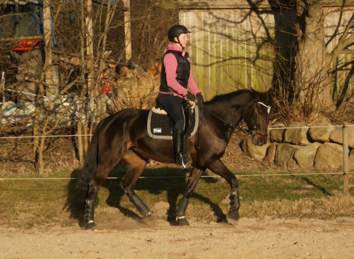 Traver Alica Gold  billede 8