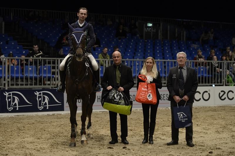 Dansk Varmblod Amillee ravnes-have billede 24