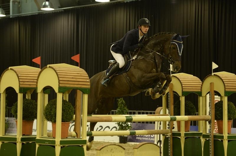 Dansk Varmblod Amillee ravnes-have billede 25