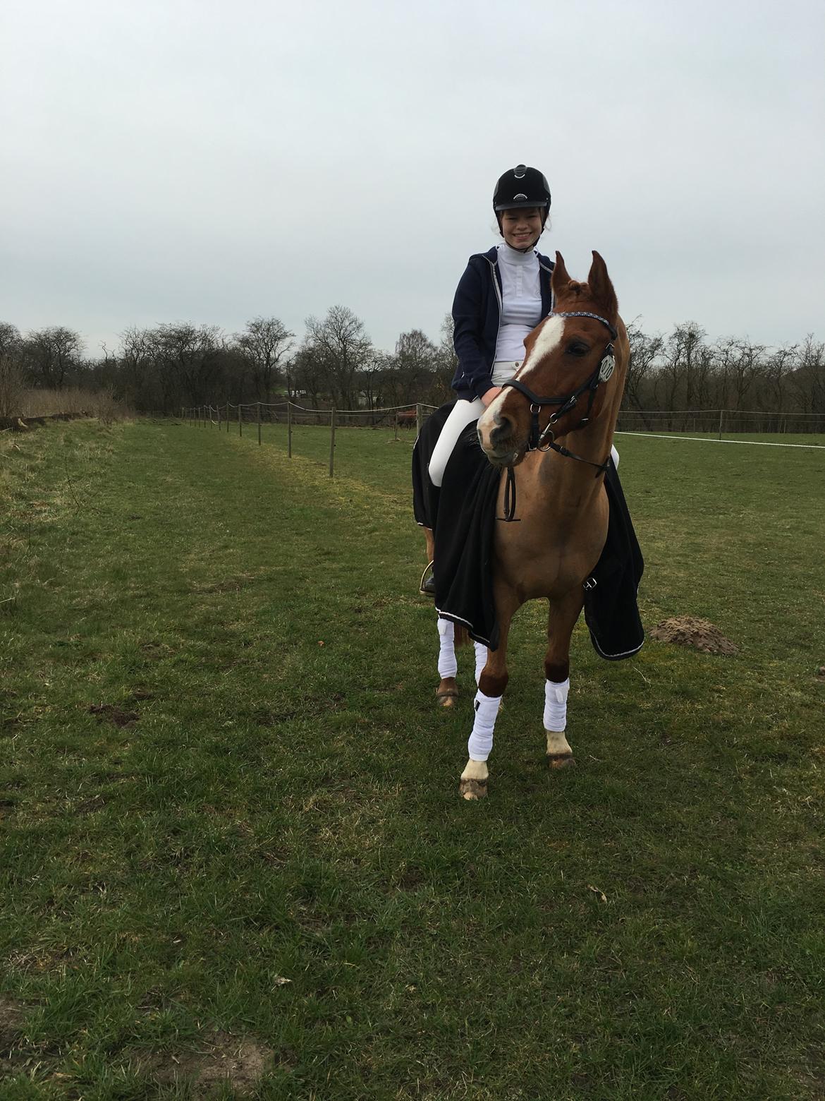 Anden særlig race Red Magic billede 17