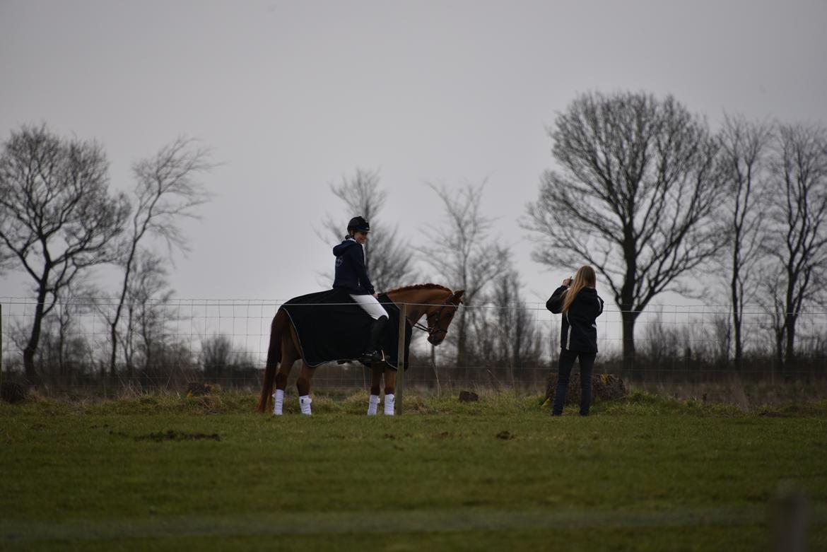 Anden særlig race Red Magic billede 12