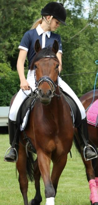 Anden særlig race Wupti - Wupti ca. 4 år gammel  billede 1