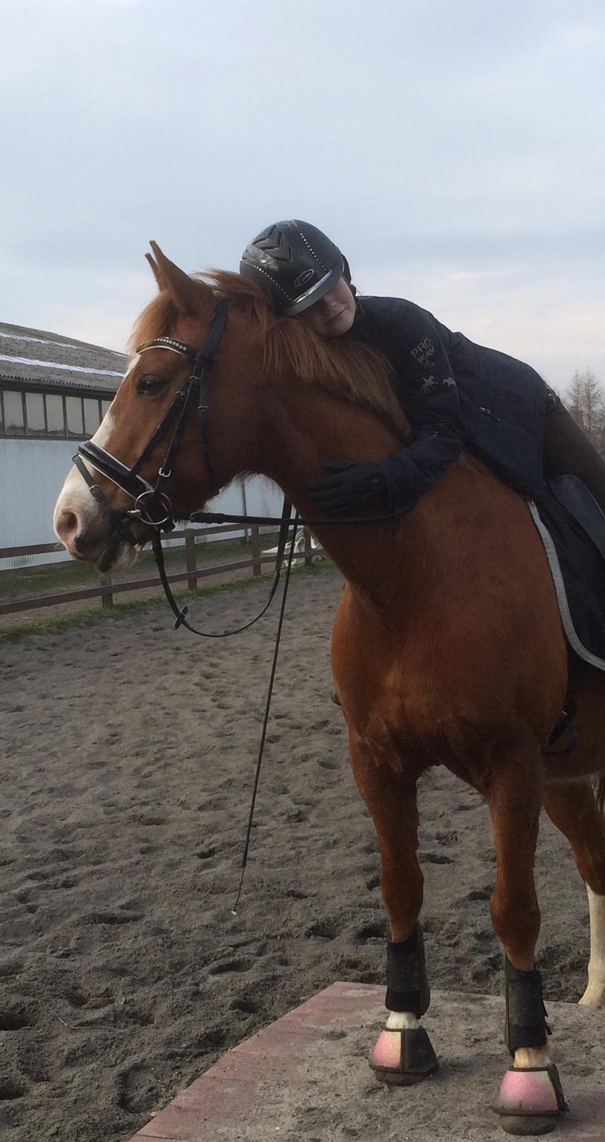 Anden særlig race Milando - Jeg elsker dig! billede 11