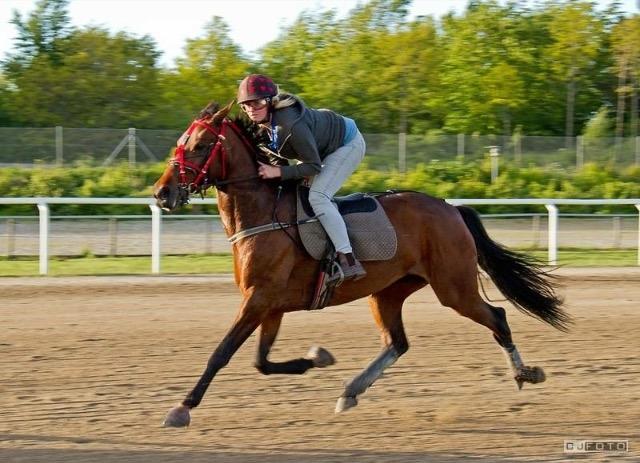 Traver Goodwiththebad NO - dream until your dreams come true❤️. billede 7