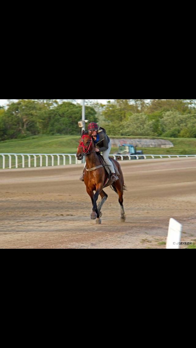 Traver Goodwiththebad NO - you are the smile on my face. my bitch😍😍 billede 8