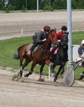 Traver Goodwiththebad NO - ❤️❤️. billede 9