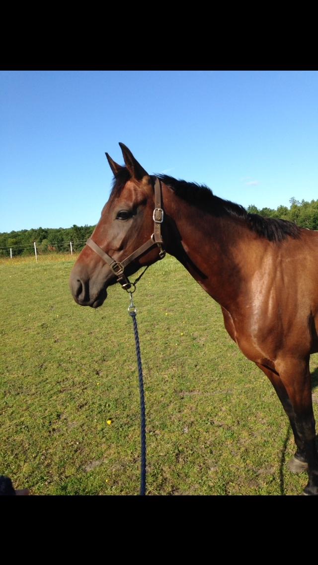 Traver Goodwiththebad NO billede 12