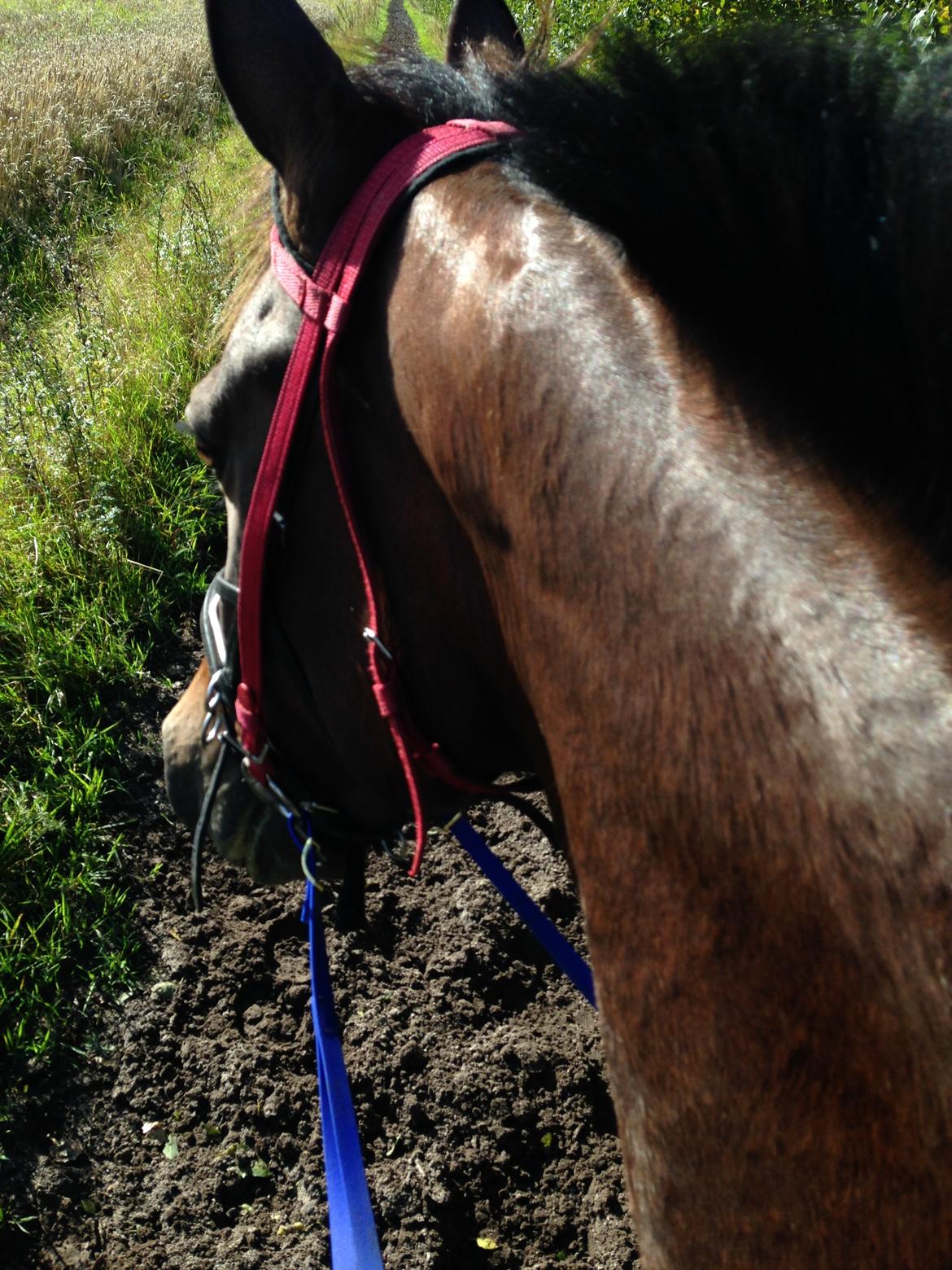 Traver Goodwiththebad NO billede 13