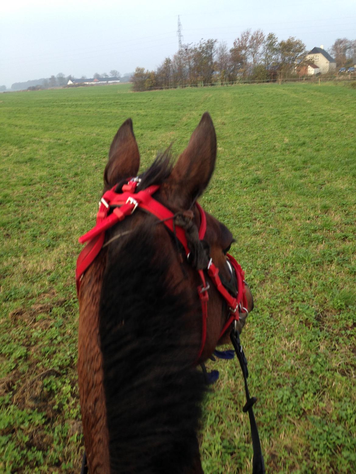 Traver Goodwiththebad NO billede 14