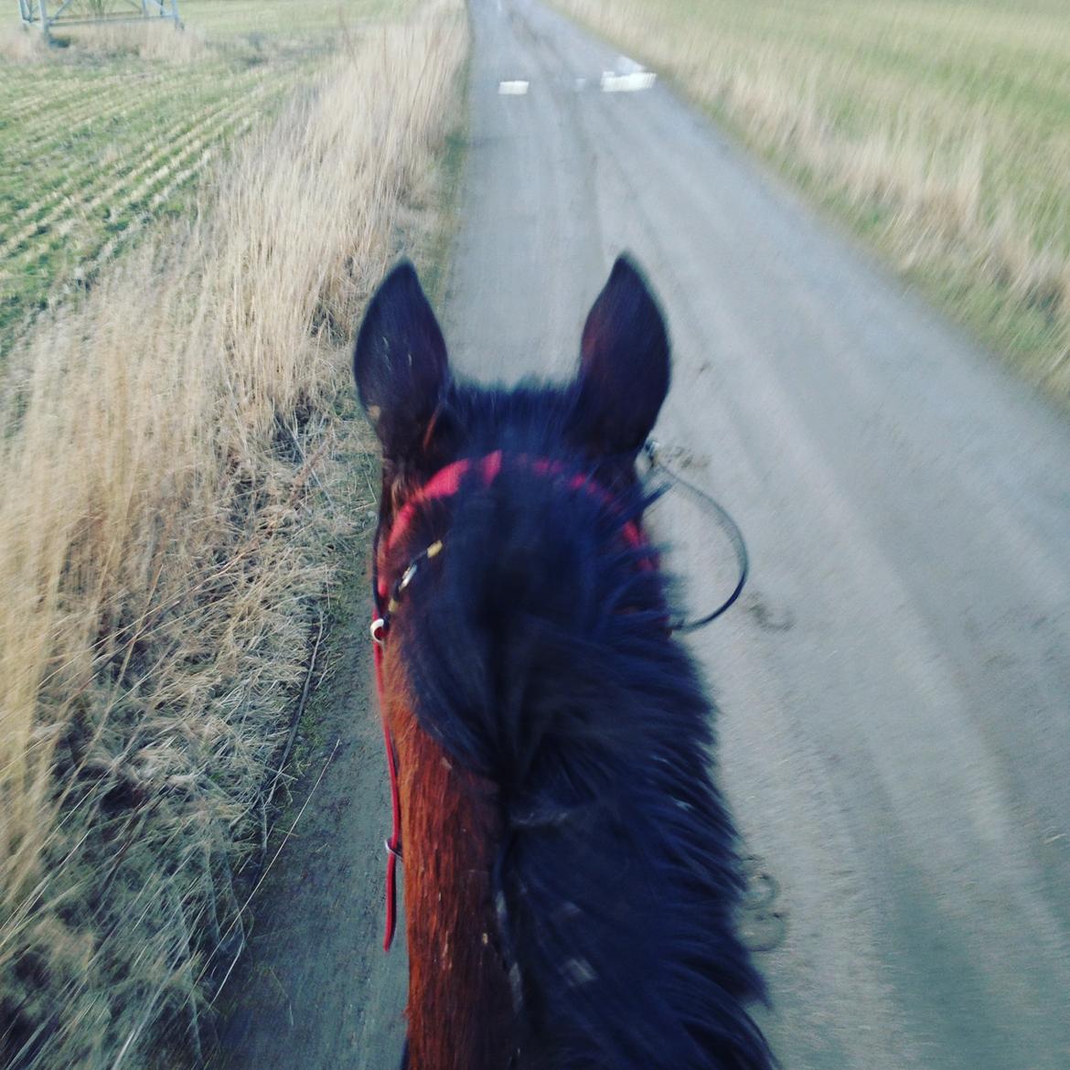 Traver Goodwiththebad NO billede 17