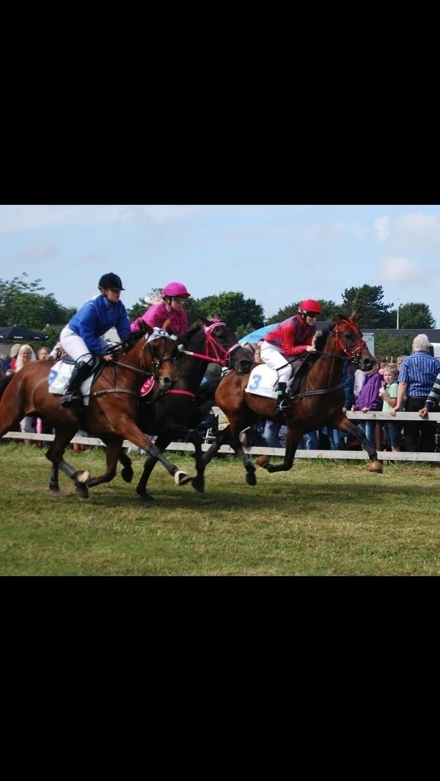Traver Goodwiththebad NO - i pandrup med søde rikke på ryggen, de røde farver❤️ billede 11