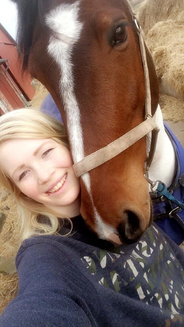 Pinto Randrupmølles Grace Kelly billede 13