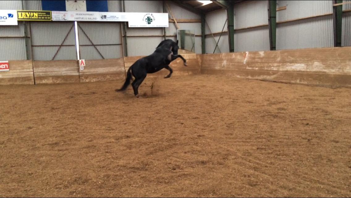 Oldenborg Maggie Tisted - Februar 2016 billede 47