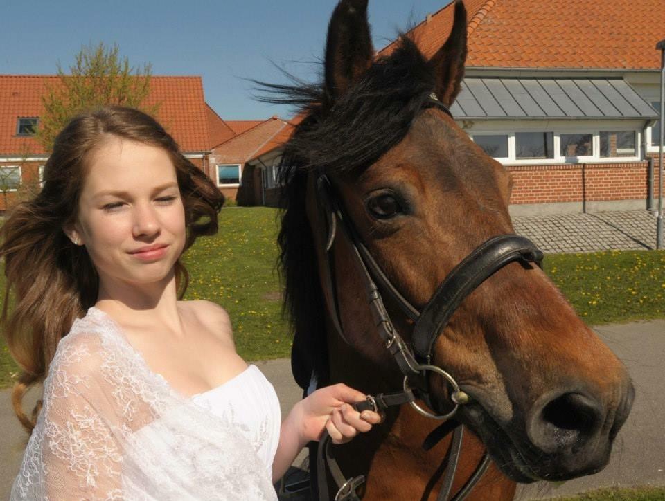 New Forest celine<3 billede 1