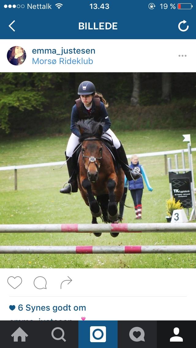 New Forest celine<3 billede 4