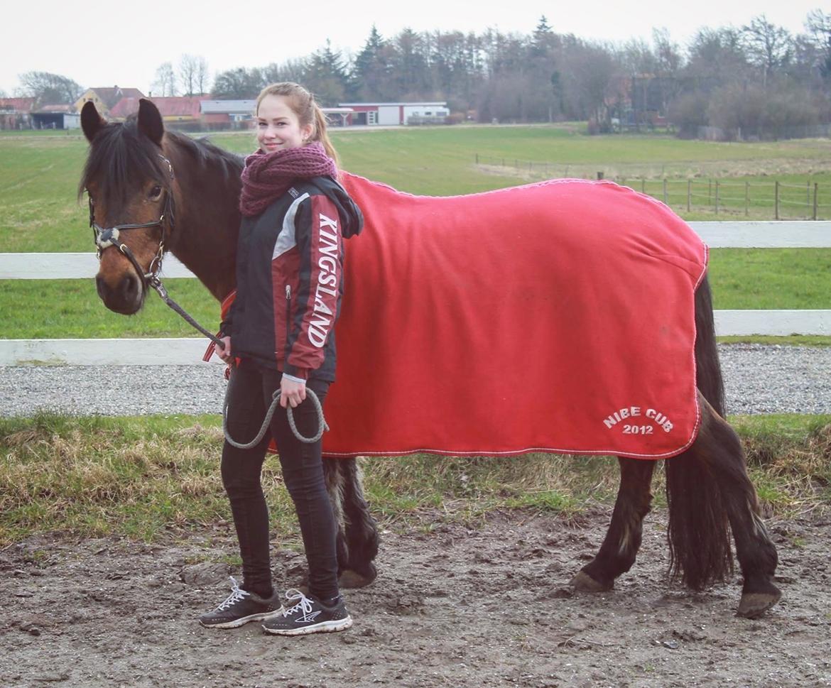 New Forest celine<3 billede 2