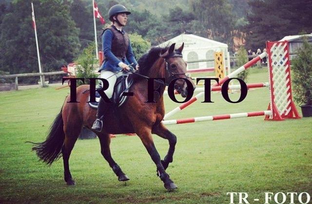 New Forest celine<3 billede 7