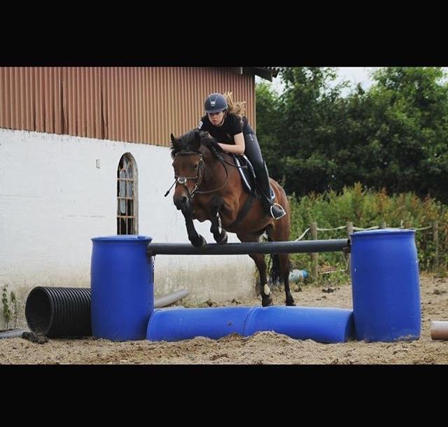 New Forest celine<3 billede 8