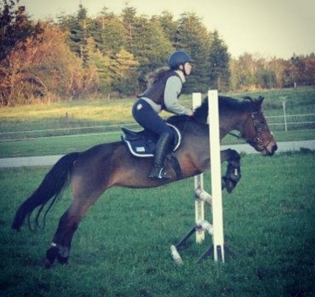 New Forest celine<3 billede 6
