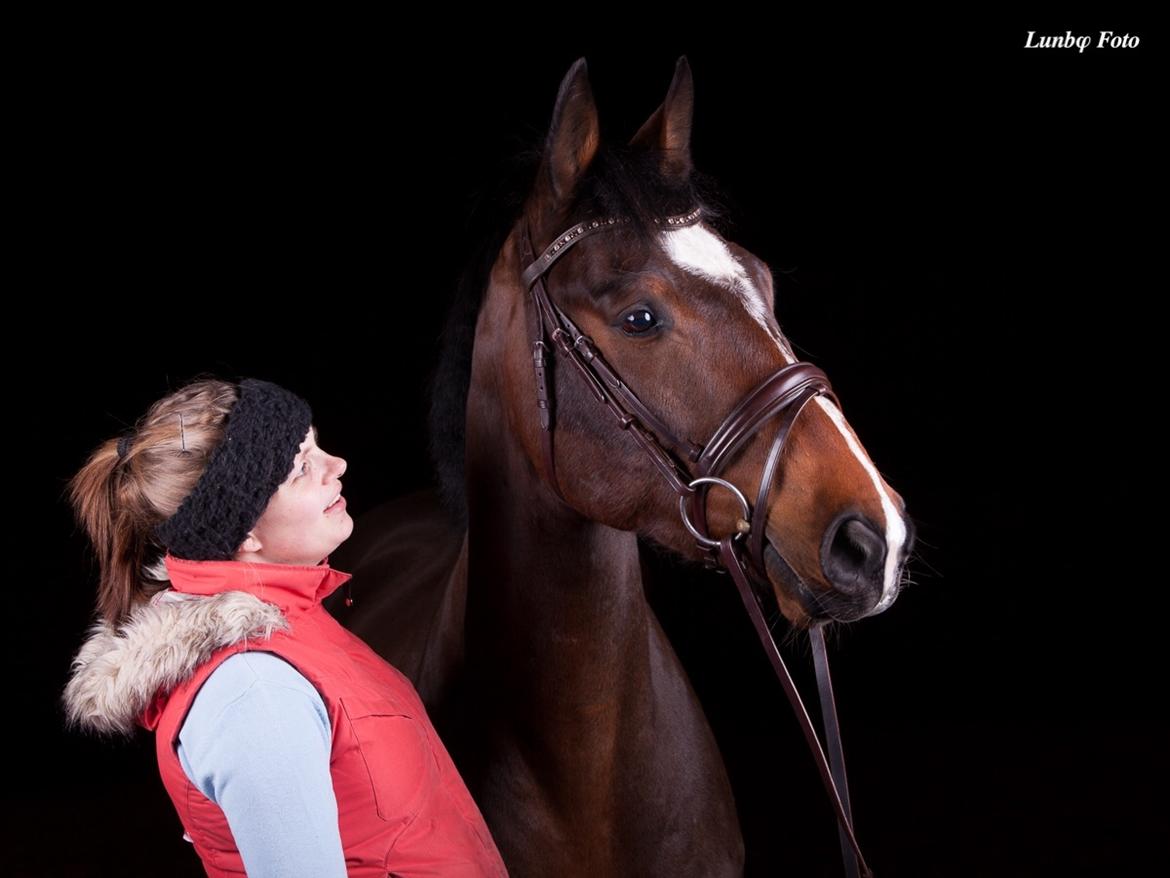 Dansk Varmblod M.B Ambition's Boy billede 3