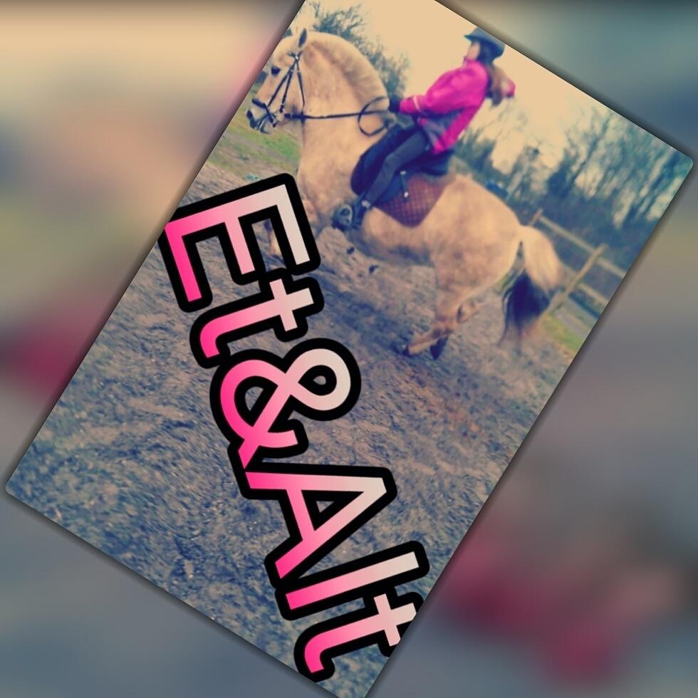 Fjordhest Natja (Natti) *Passer* billede 9