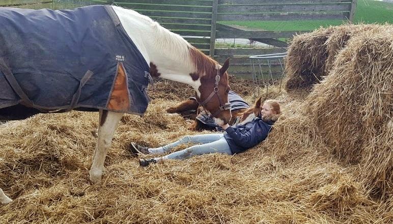 Paint Radicalackoflace billede 7