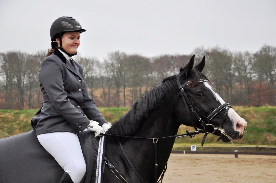 Hollandsk Varmblod Adisson billede 24