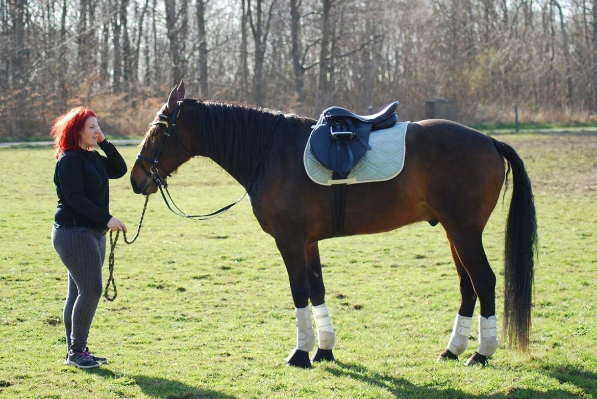 Traver RedFord billede 8