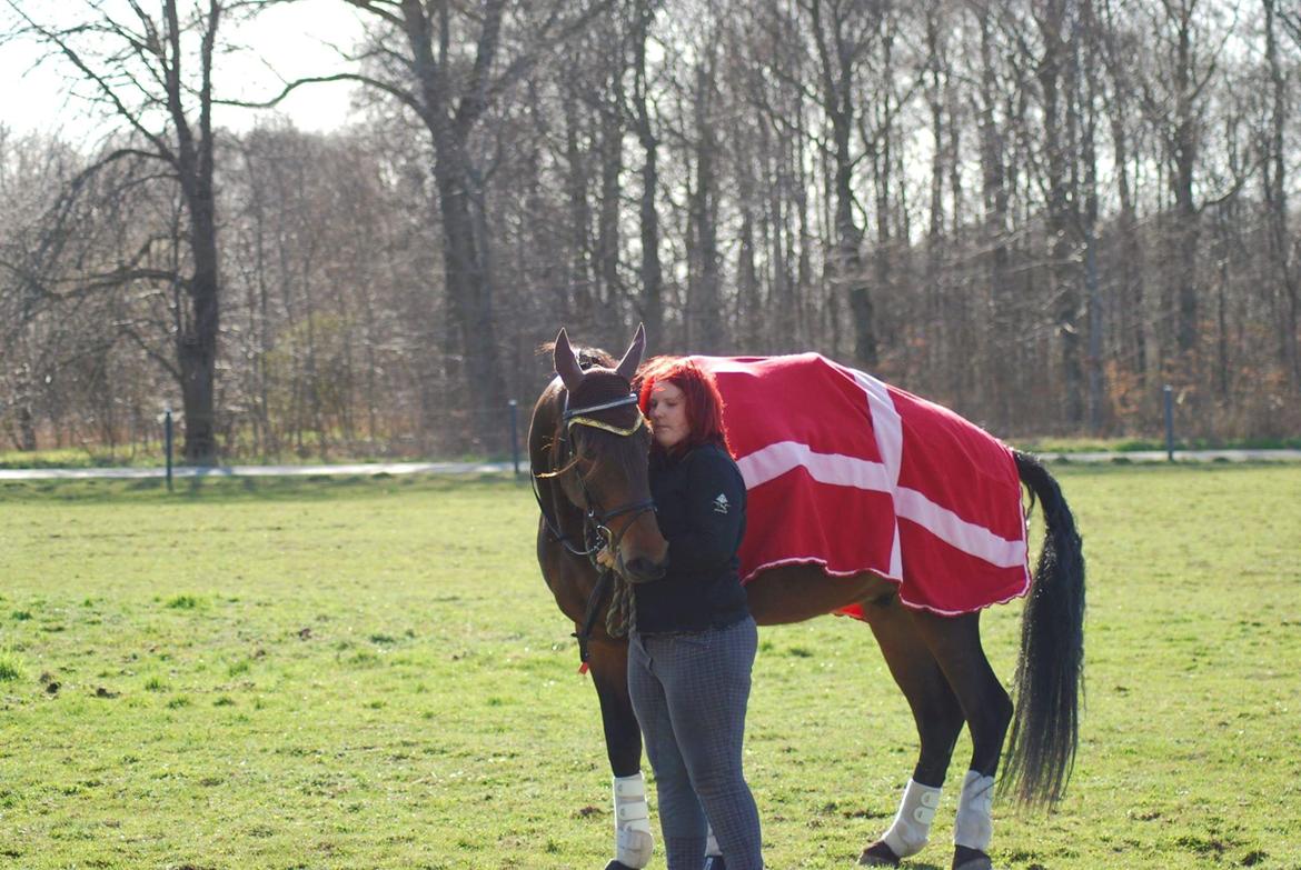 Traver RedFord billede 9