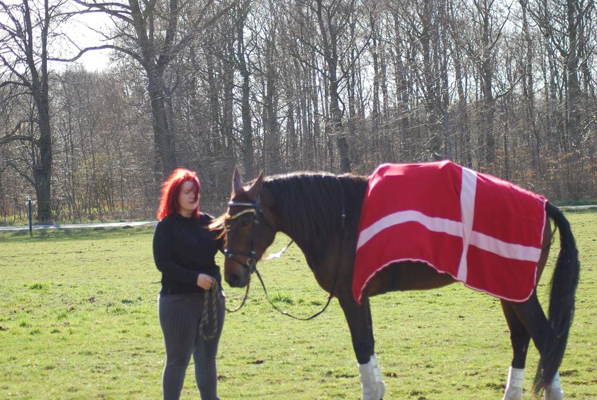 Traver RedFord billede 13