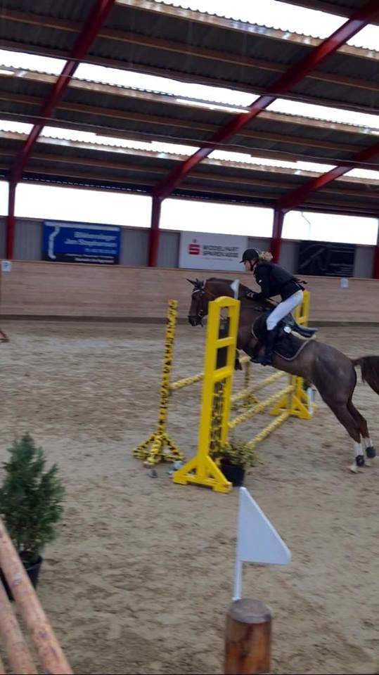 DSP Cæsar  billede 12