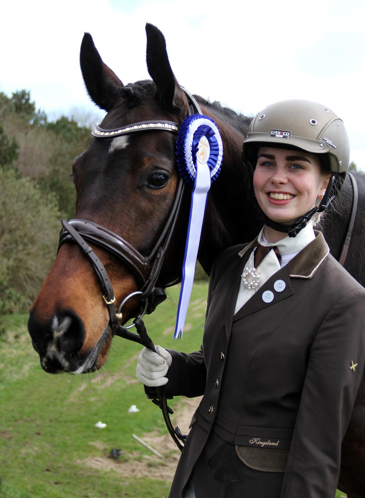 Dansk Varmblod Demi af Hedensminde billede 5