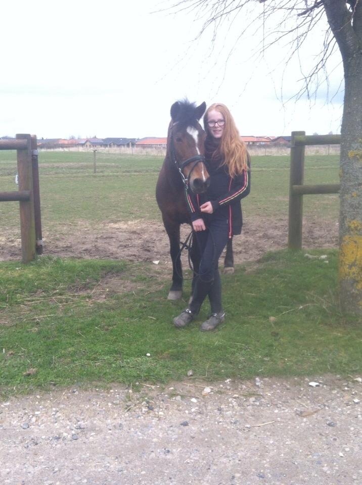 Anden særlig race Else { part } billede 10