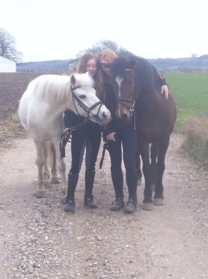 Anden særlig race Else { part } billede 20