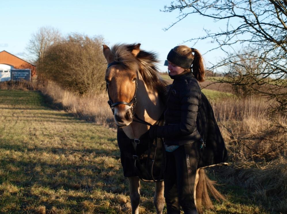 Anden særlig race Tøsne billede 1