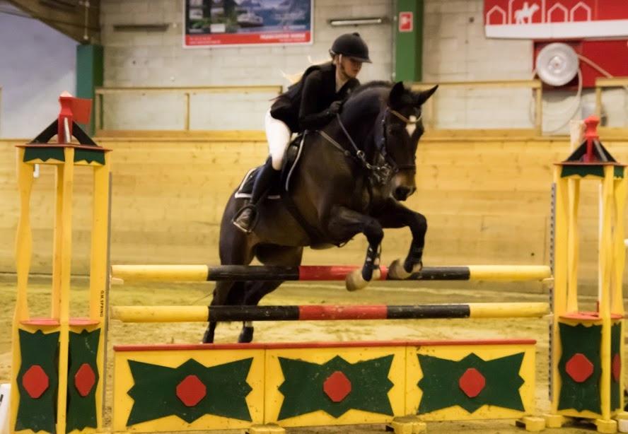 Hollandsk Varmblod Wilddancer - Holte rideklub 9/4 2016 billede 25