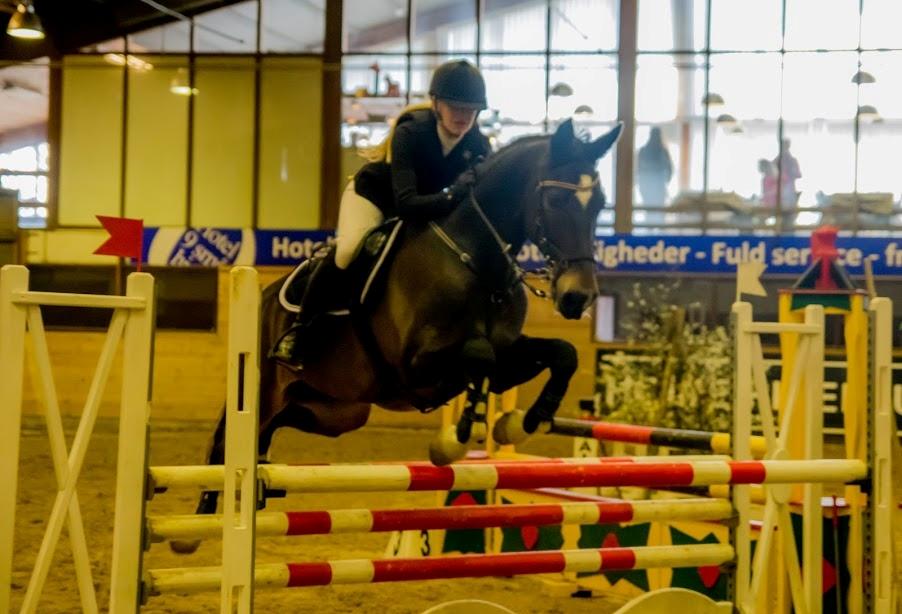 Hollandsk Varmblod Wilddancer - Holte rideklub 9/4 2016 billede 26