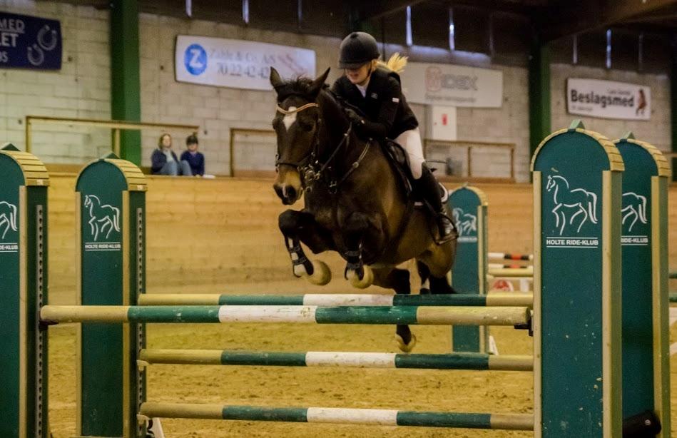 Hollandsk Varmblod Wilddancer - Holte rideklub 9/4 2016 billede 27