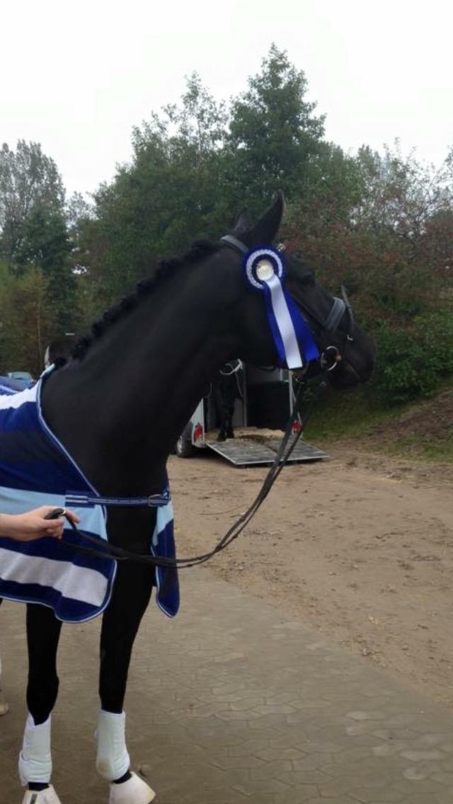 Anden særlig race jens billede 21
