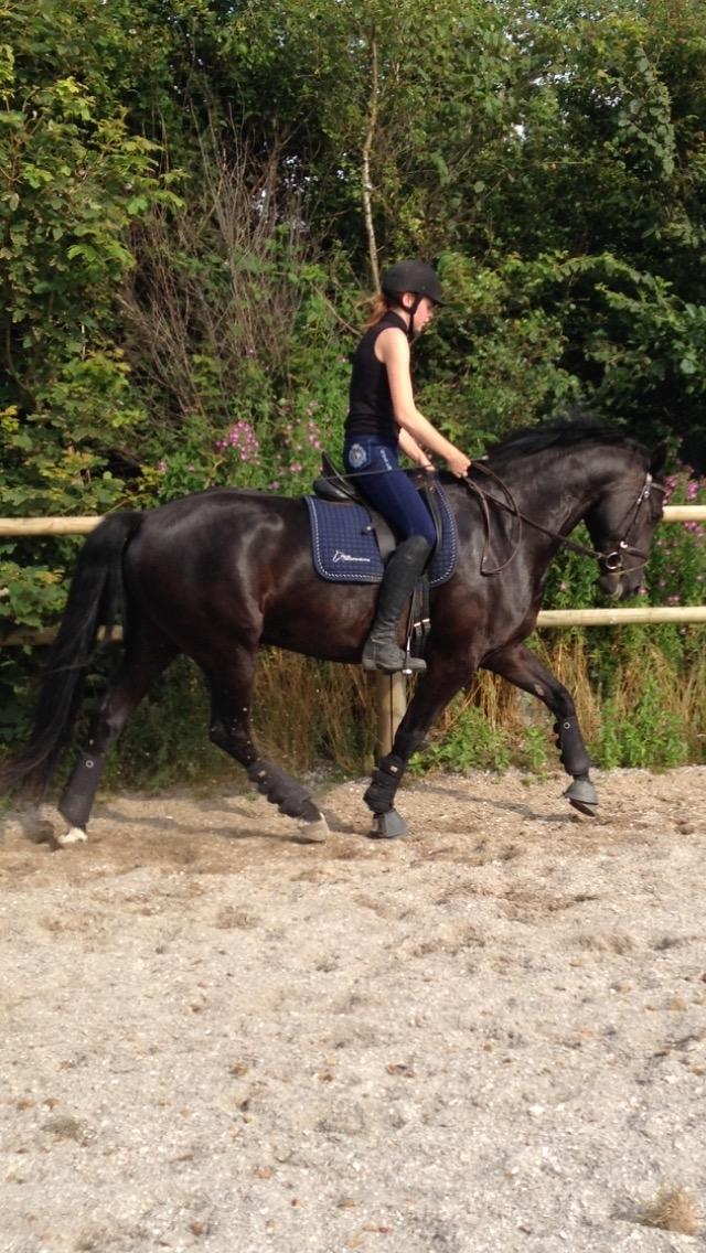 Anden særlig race jens billede 22