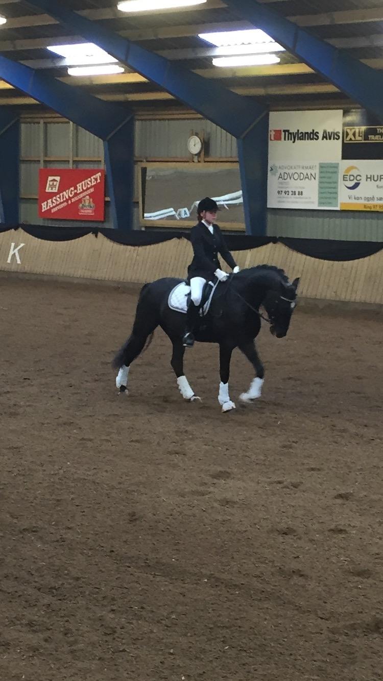 Anden særlig race jens - Marts 2016 billede 24