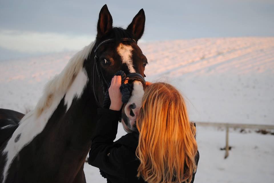 Pinto Vadekærgårds lille my billede 2