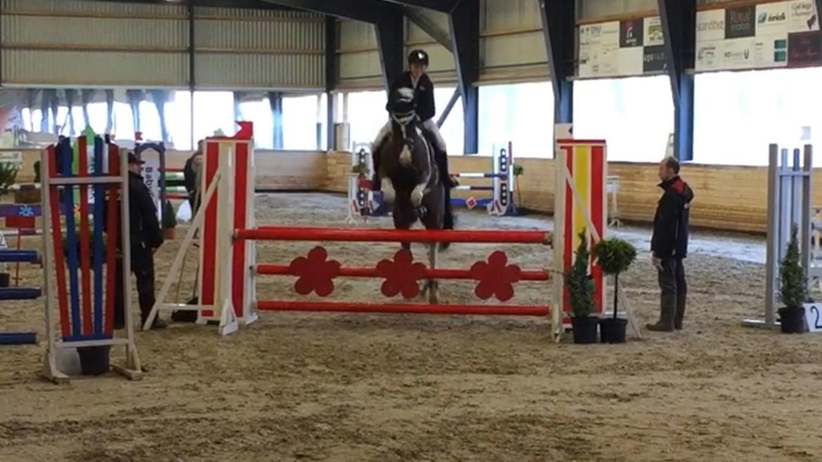 Pinto Vadekærgårds lille my billede 5