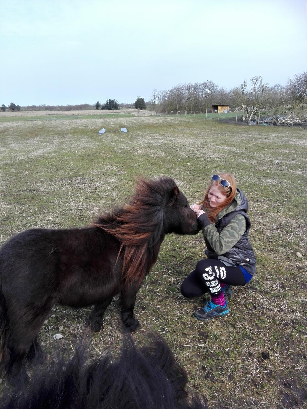 Anden særlig race Kloster's Diamond Aika billede 36