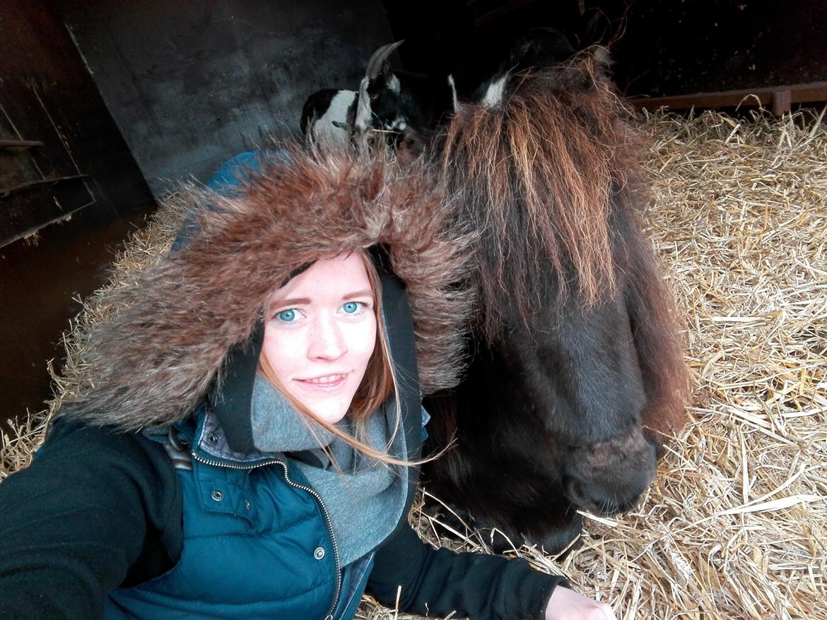 Anden særlig race Kloster's Diamond Aika billede 41